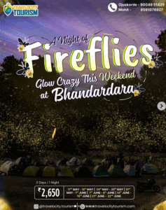 Fireflies event at Bhandardara with camping tents.