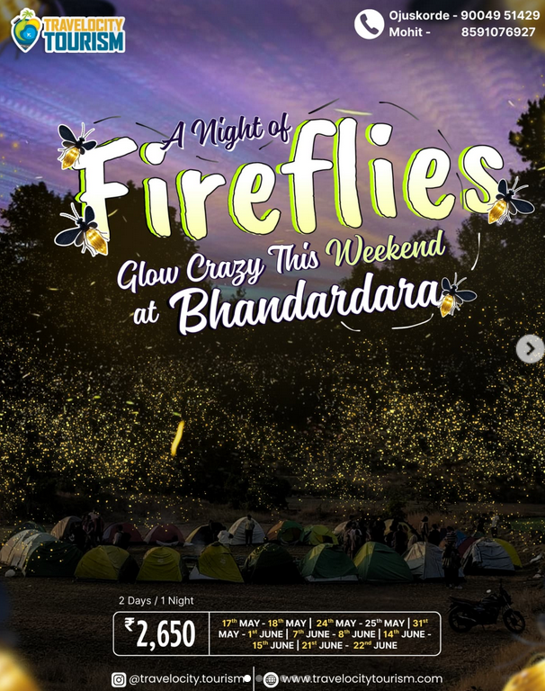 Fireflies event at Bhandardara with camping tents.