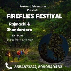 Fireflies Festival at Rajmachi and Bhandardara starts May 17.
