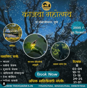 Firefly festival trek in Pune, camping and dining included.