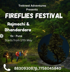 Fireflies Festival poster for Rajmachi and Bhandardara.