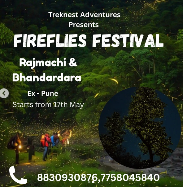 Fireflies Festival poster for Rajmachi and Bhandardara.