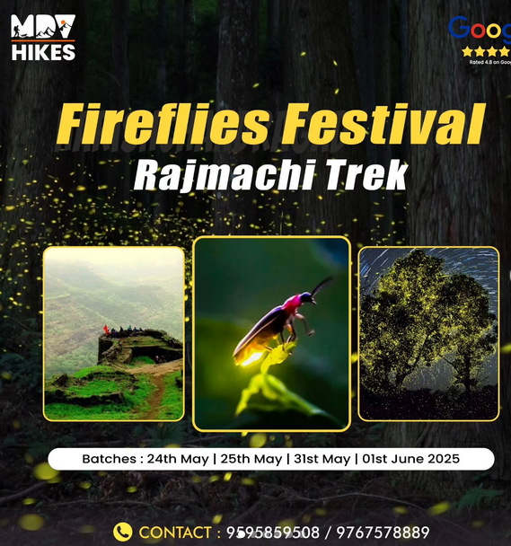 Fireflies Festival at Rajmachi Trek, multiple dates 2025.