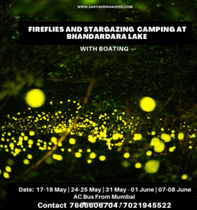 Fireflies and stargazing camping at Bhandardara Lake, boating.