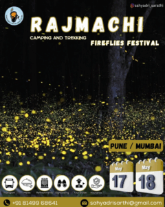 Rajmachi camping and trekking fireflies festival poster.