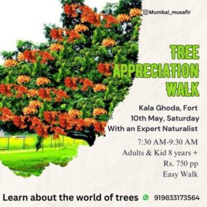 Tree appreciation walk event flyer with details