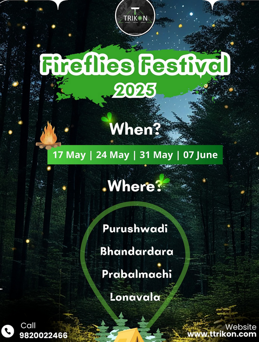Fireflies Festival 2025 dates and locations.