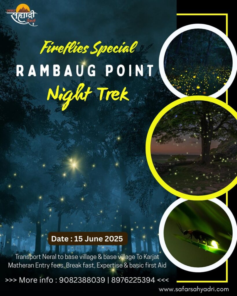 Fireflies night trek at Rambaug Point, June 2025.