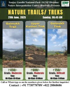 Sanjay Gandhi National park Nature Trails and Treks 29th June 2025