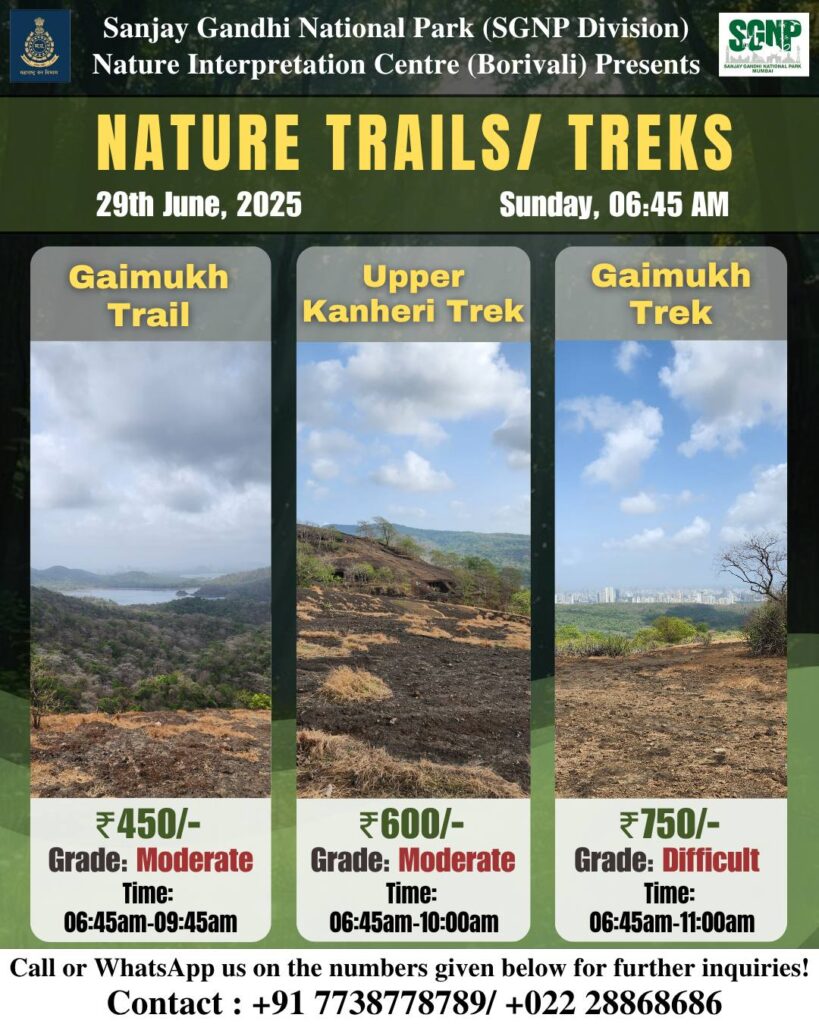 Sanjay Gandhi National park Nature Trails and Treks 29th June 2025