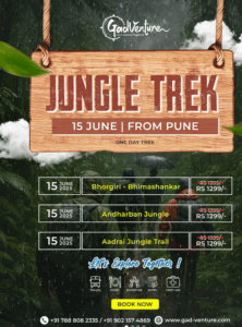 Jungle trek from Pune on June 15, 2025.