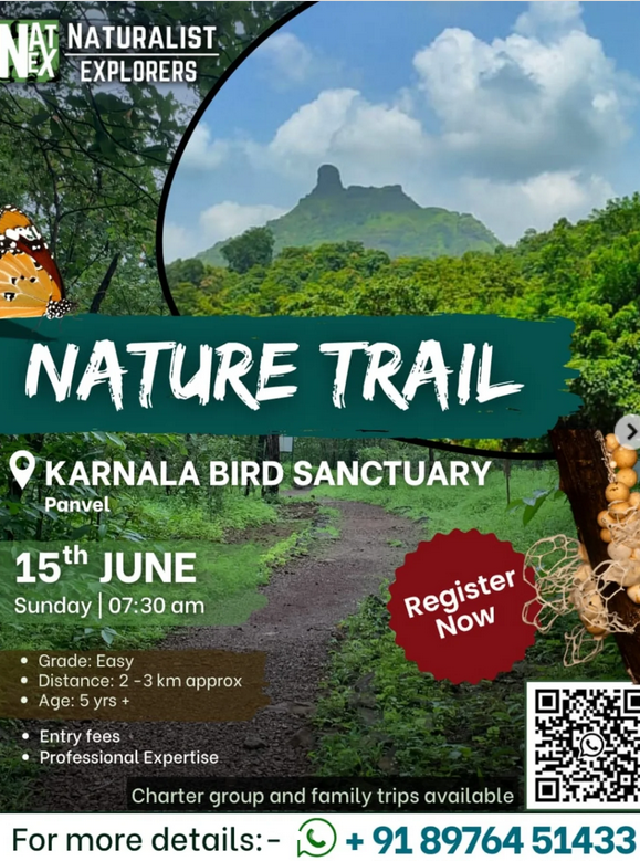 Nature trail at Karnala Bird Sanctuary, June 15
