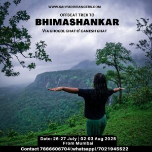 Trek to Bhimashankar through lush greenery and hills.