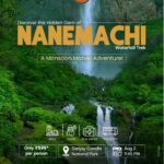 trek india nanemachi