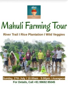 Mahuli Farming Tour: River, Rice, Wild Veggies, July 27