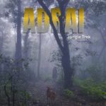 Misty jungle trek promotion for July 2025.