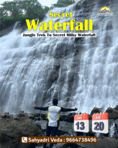 Person enjoying waterfall in forest