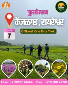 Kenjalgad trek with wildflowers and contact details.