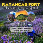 Ratangad Fort Flowering Festival, September 6-7, details.