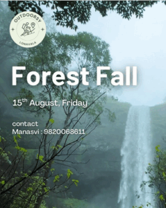 Forest waterfall event flyer, August 15th.