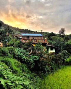 Rustic house surrounded by lush green vegetation at sunset.