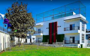 Modern house with green lawn and tree