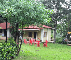 Red chairs on lawn by small house