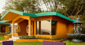 Modern cabin with garden and fountain outside.