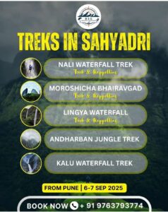 Sahyadri treks: Waterfalls and jungle adventure, Sep 2025.