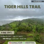 Tiger Hills Trail event flyer with forest view.