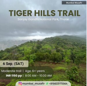 Tiger Hills Trail event flyer with forest view.