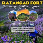 Ratangad Fort Flowering Festival, September 6-7 event.
