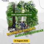 Group trekking in Dark Jawali Forest, Mahabaleshwar.