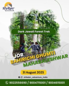 Group trekking in Dark Jawali Forest, Mahabaleshwar.