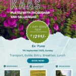 Explore Kaas Plateau, one-day road trip from Pune.