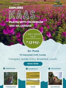 Explore Kaas Plateau, one-day road trip from Pune.