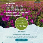Explore Kaas Plateau day trip with Treknest Adventures.