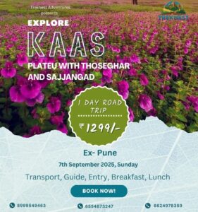 Explore Kaas Plateau day trip with Treknest Adventures.