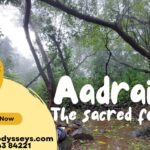 zenith odyssey aadrai 10th aug