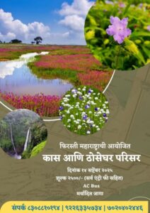 Flowers and waterfall at Kaas Plateau, Maharashtra.