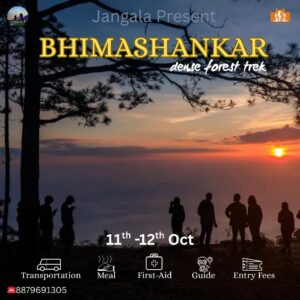 Sunset forest trek with group silhouettes.