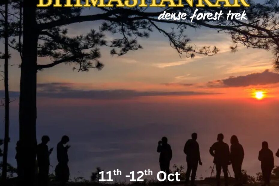 Sunset forest trek with group silhouettes.