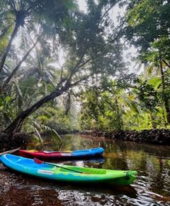 Colorful kayaks on a tropical riverbed.