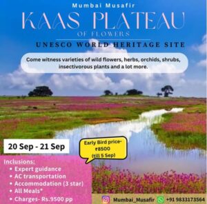 Kaas Plateau tour, flowers, September 20-21, 2023.