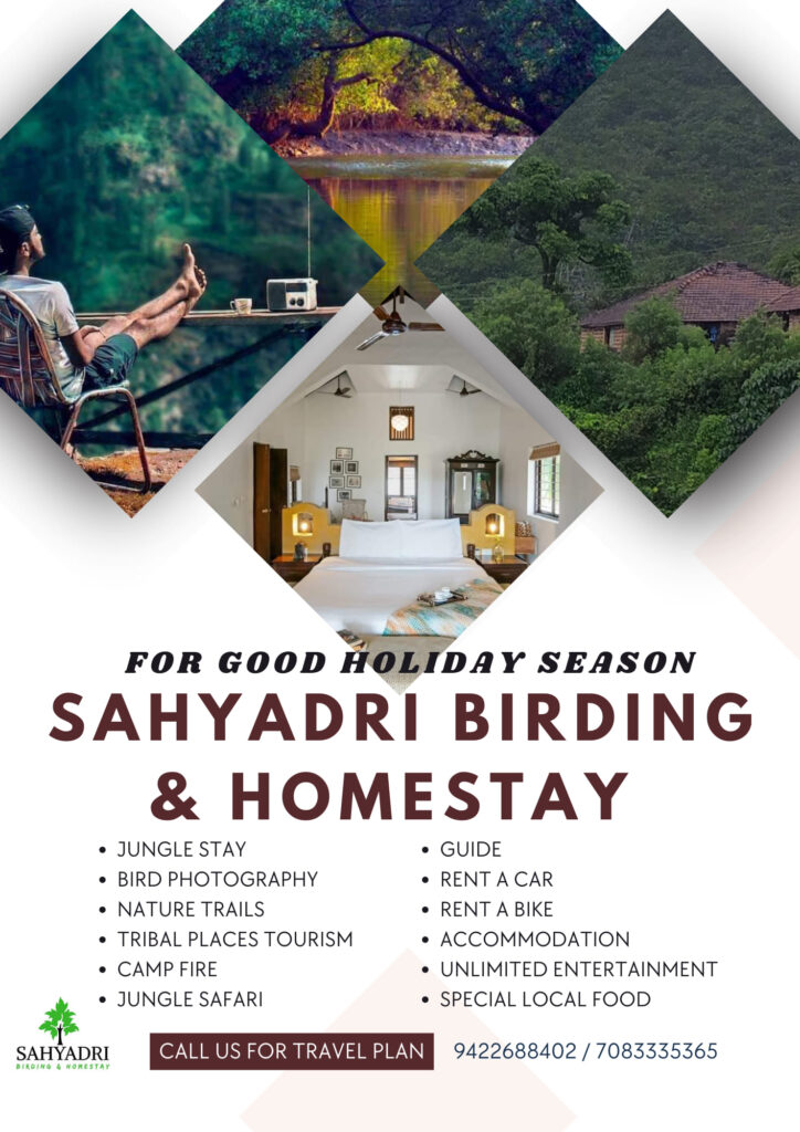 Sahyadri Birding Homestay offers nature activities and tours.
