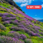 Flower Festival, scenic mountain view, Padharwadi to Bhorgiri.