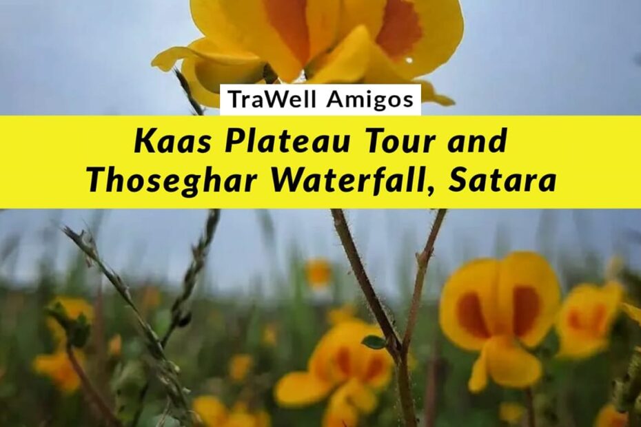 Kaas Plateau tour and Thoseghar Waterfall in Satara.