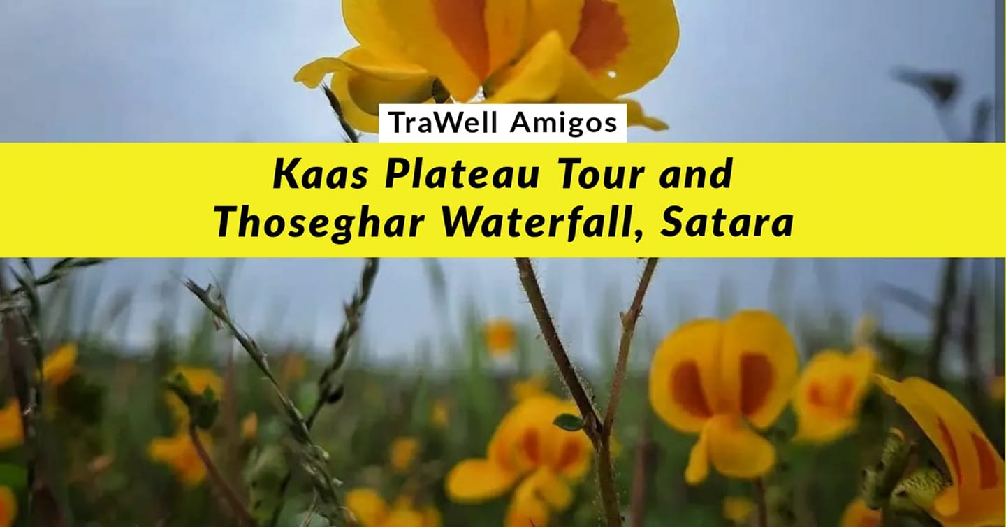 Kaas Plateau tour and Thoseghar Waterfall in Satara.