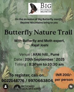 Join Butterfly Nature Trail at ARAI Hill, Pune.