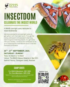 BNHS Insectdom camp promoting insect biodiversity awareness.